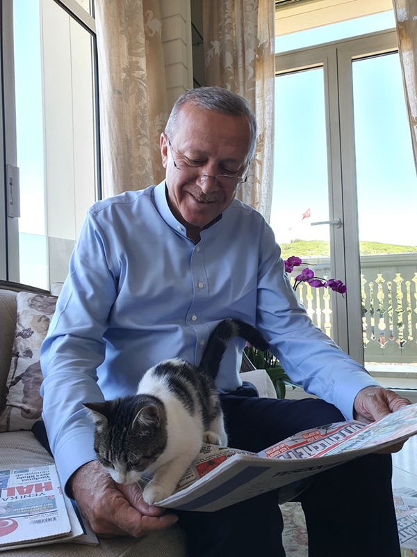 Foto - Başkan Erdoğan'dan güldüren paylaşım