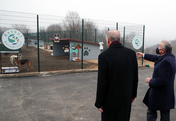 Foto - Başkan Erdoğan'dan sevimli dostlara ziyaret