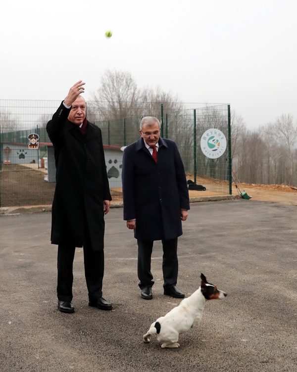 Foto - Başkan Erdoğan'dan sevimli dostlara ziyaret