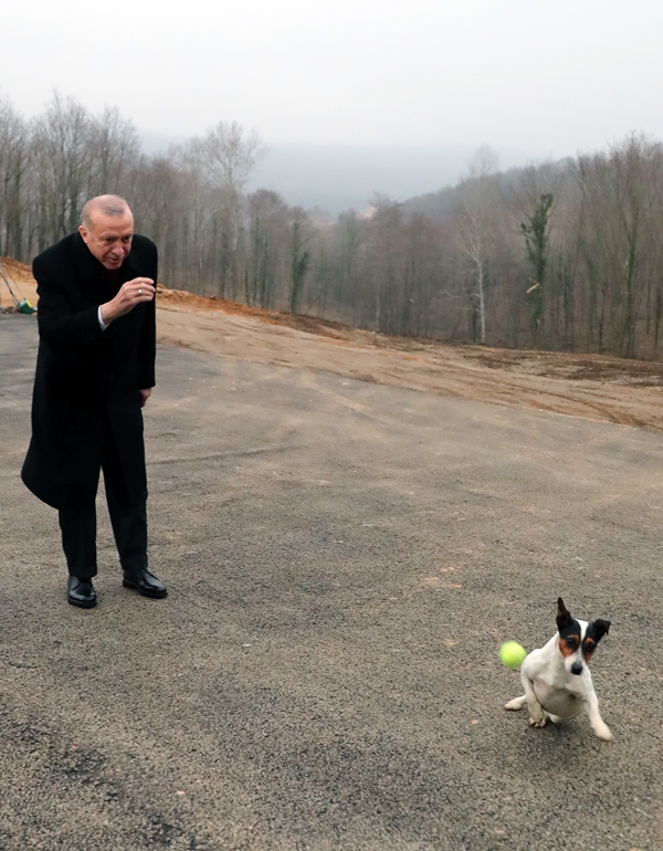 Foto - Başkan Erdoğan'dan sevimli dostlara ziyaret