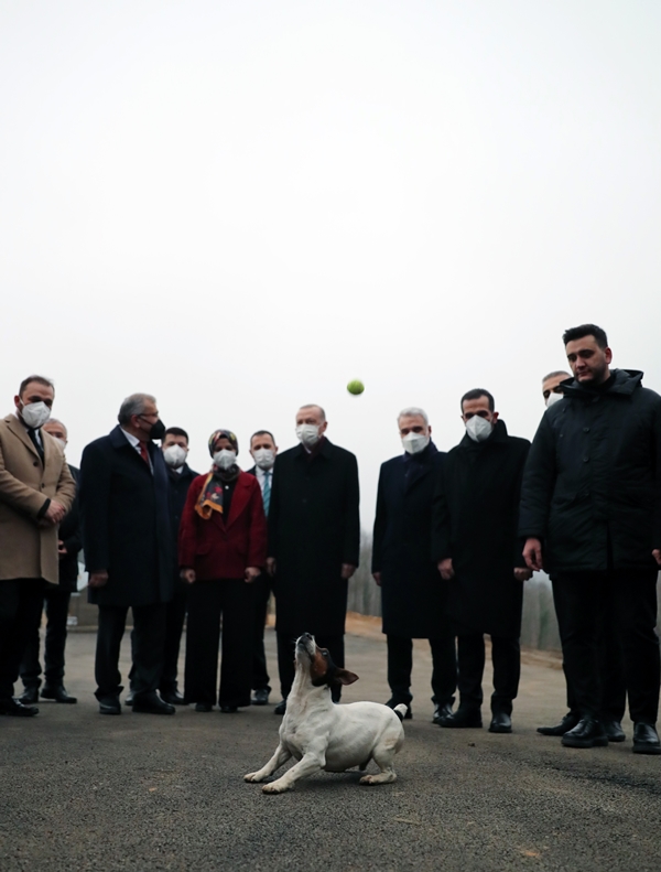 Foto - Başkan Erdoğan'dan sevimli dostlara ziyaret
