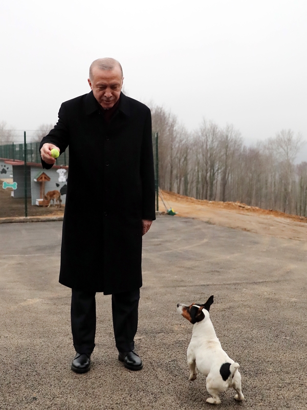 Foto - Başkan Erdoğan'dan sevimli dostlara ziyaret
