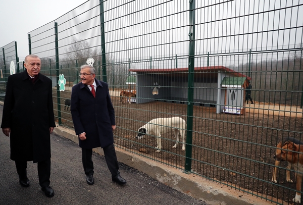 Foto - Başkan Erdoğan'dan sevimli dostlara ziyaret