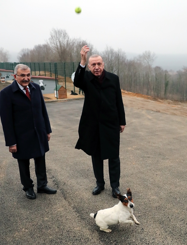 Foto - Başkan Erdoğan'dan sevimli dostlara ziyaret