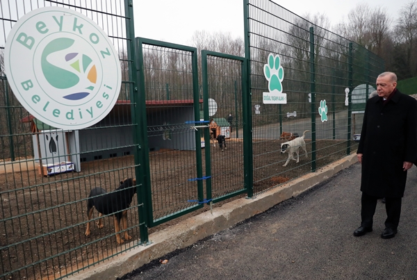 Foto - Başkan Erdoğan'dan sevimli dostlara ziyaret