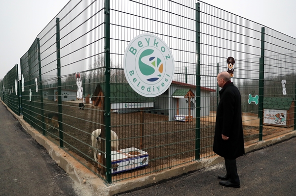 Foto - Başkan Erdoğan'dan sevimli dostlara ziyaret