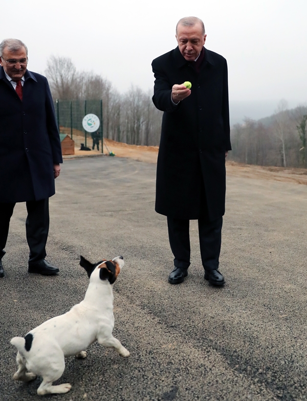 Foto - Başkan Erdoğan'ı görünce bir anda ortaya çıktı... İşte Maylo'nun yürek burkan hikayesi