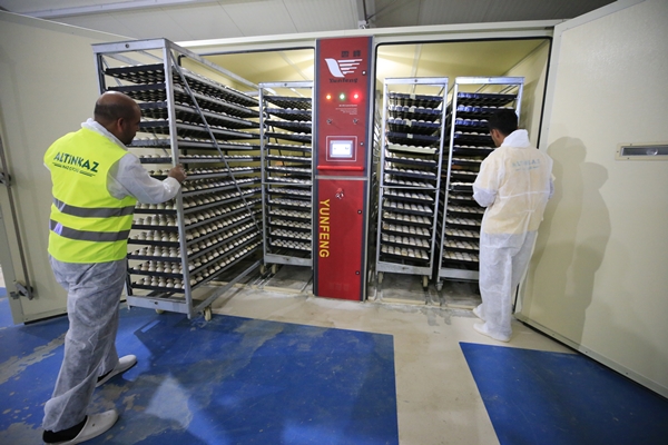 Foto - Başkan Erdoğan'ın çağrısına kulak verdi... Tam 100 katına çıkardı