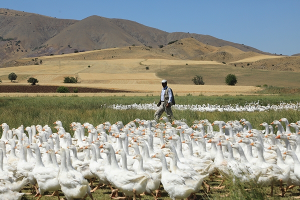 Foto - Başkan Erdoğan'ın çağrısına kulak verdi... Tam 100 katına çıkardı