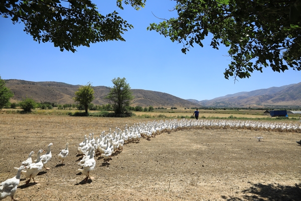 Foto - Başkan Erdoğan'ın çağrısına kulak verdi... Tam 100 katına çıkardı