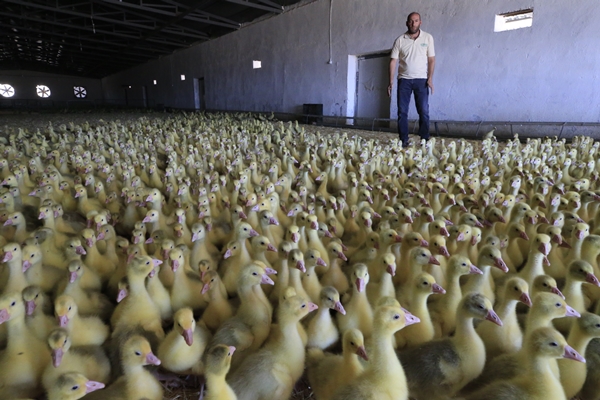 Foto - Başkan Erdoğan'ın çağrısına kulak verdi... Tam 100 katına çıkardı