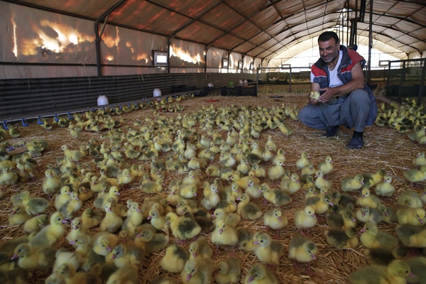 Foto - Başkan Erdoğan'ın çağrısına kulak verdi... Tam 100 katına çıkardı