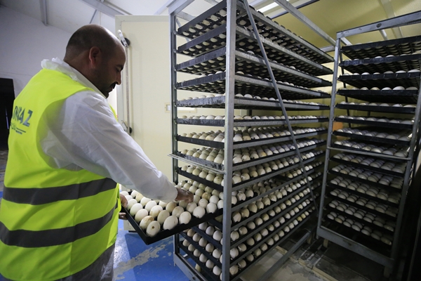 Foto - Başkan Erdoğan'ın çağrısına kulak verdi... Tam 100 katına çıkardı