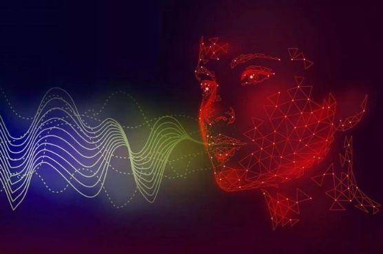 Foto - Başkan Erdoğan'ın sesini taklit ederek dolandırıcılık yapanlara MİT operasyonu