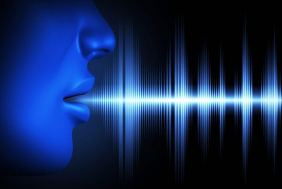 Foto - Başkan Erdoğan'ın sesini taklit ederek dolandırıcılık yapanlara MİT operasyonu