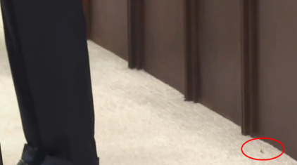 Foto - Başkan Erdoğan'ın yanında görünce koruması hemen koştu! Etkisiz hale getirildi