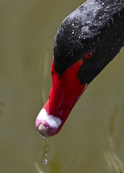 Foto - Başkentte sokaklar boş kaldı