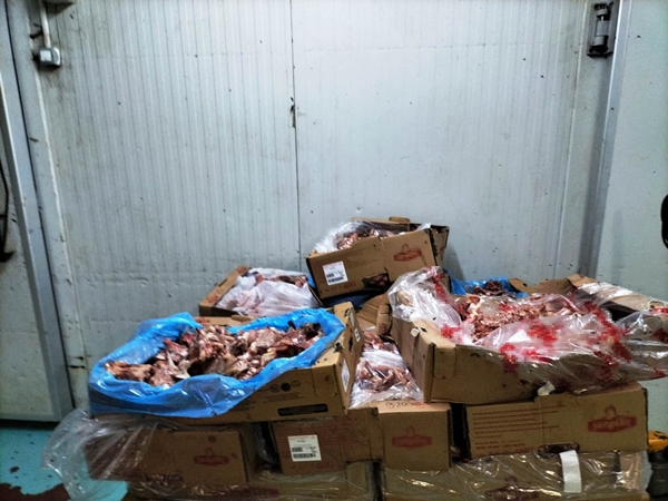 Baskında ortaya çıktı... Mide bulandıran olay