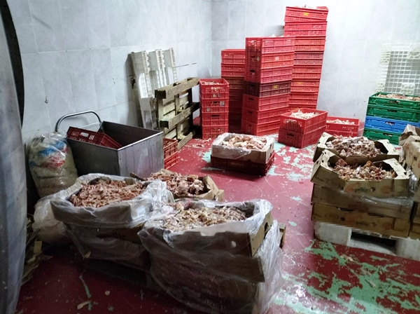 Foto - Baskında ortaya çıktı... Mide bulandıran olay