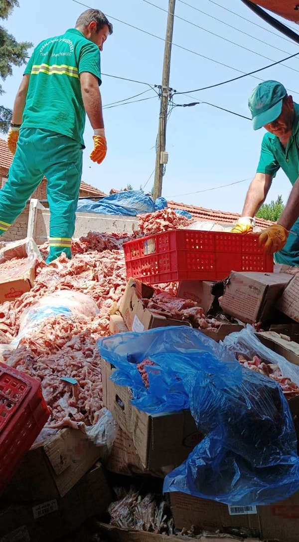 Foto - Baskında ortaya çıktı... Mide bulandıran olay