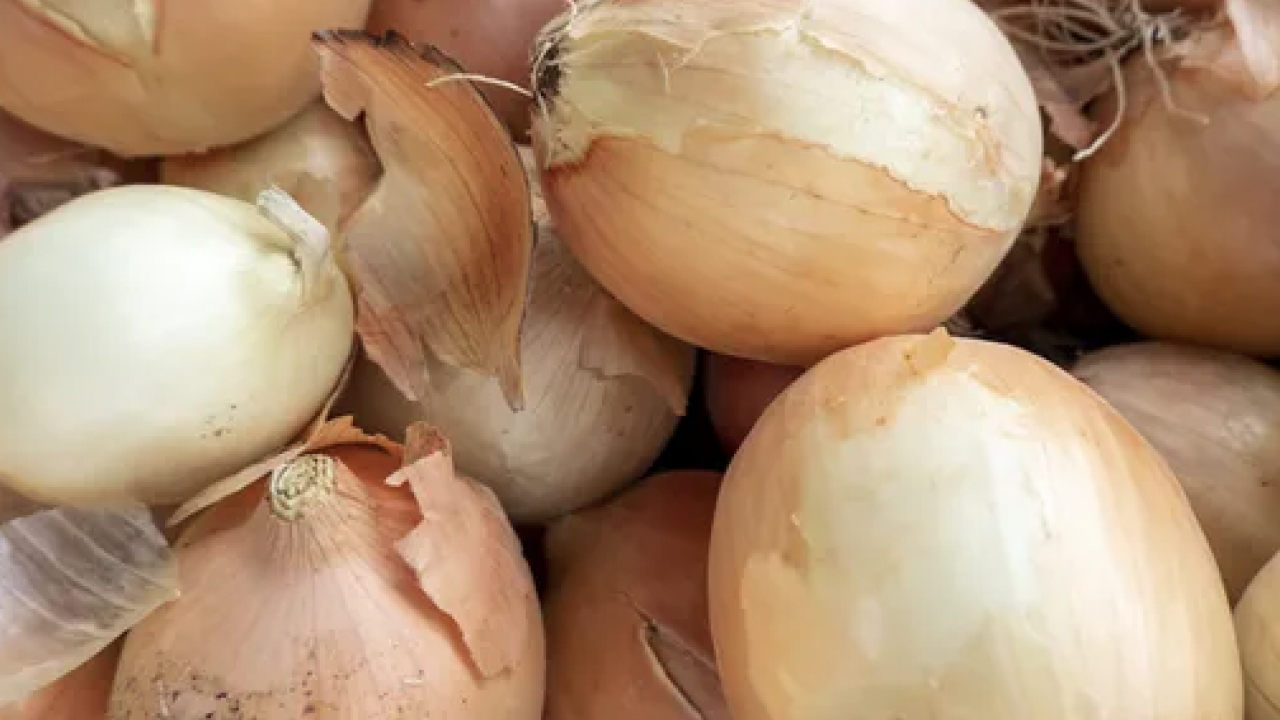 Tarih boyunca sofraların baştacı yaptılar... Hangi ülke en çok ne  tüketiyor 