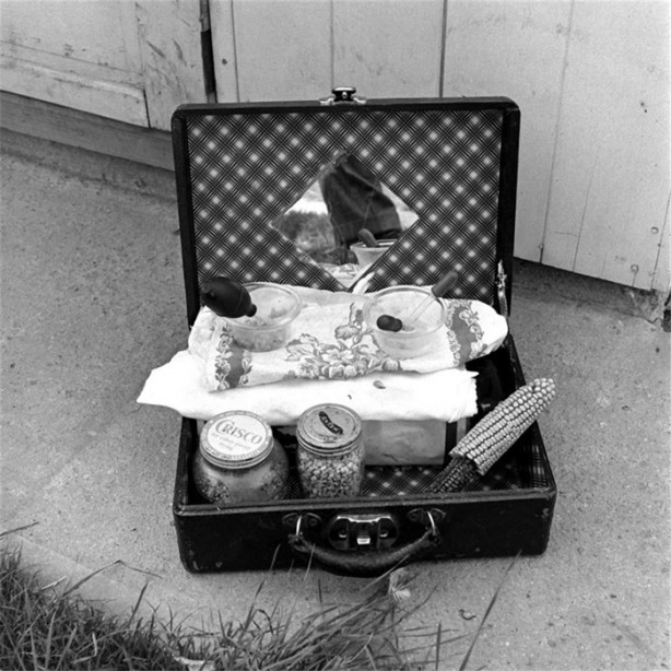 Foto - Başsız tavuk Mike 18 ay boyunca nasıl yaşadı?