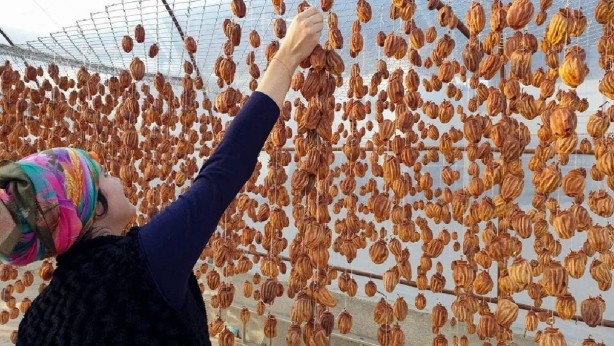 Başta elmaya benziyor, olgunlaştıkça bambaşka bir şey oluyor! Kurutulunca fiyatı tam 10 kat artıyor! Ünü Türkiye'yi de aşmış