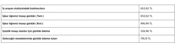 Foto - Başvuran herkes alıyor! Geri ödeme yok! Devlet günlük 720 TL veriyor! 81 ilde başvurular başladı