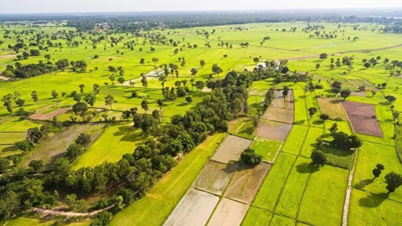 Foto - Başvuru şartları ve tarihleri belli oldu! TOKİ arsa satışı başlıyor