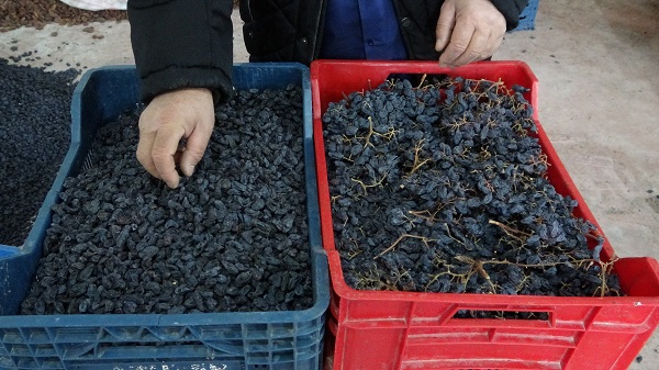 Foto - Başvurusu onaylandı hayatı değişti! Seyyar tezgahtan patronluğa