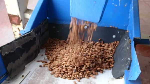 Foto - Başvurusu onaylandı hayatı değişti! Seyyar tezgahtan patronluğa