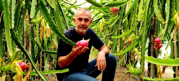 Foto - 'Batarsın' dediler, dinlemedi! Milyoner oldu