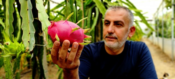 Foto - 'Batarsın' dediler, dinlemedi! Milyoner oldu