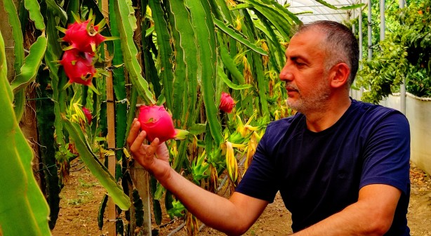 Foto - 'Batarsın' dediler, dinlemedi! Milyoner oldu