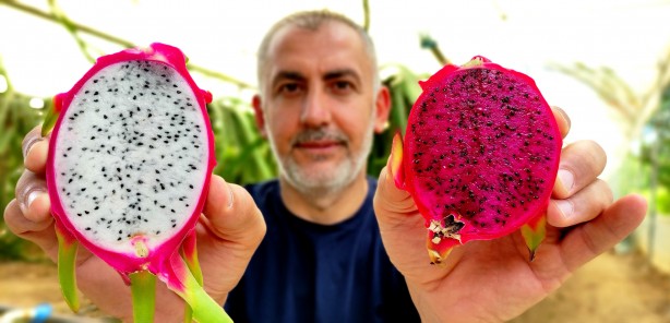 Foto - 'Batarsın' dediler, dinlemedi! Milyoner oldu