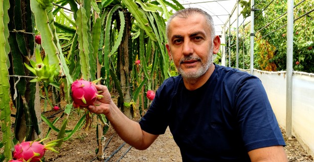 'Batarsın' dediler, dinlemedi! Milyoner oldu