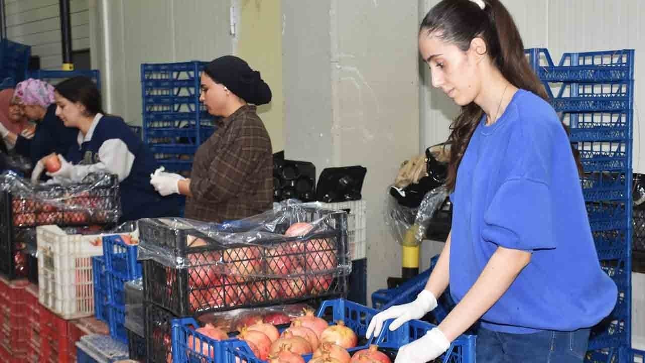 Foto - Batı Akdeniz'de yaş meyve ve sebze ihracatında rekor: 3,3 milyar doların yüzde 21'i bölgeden