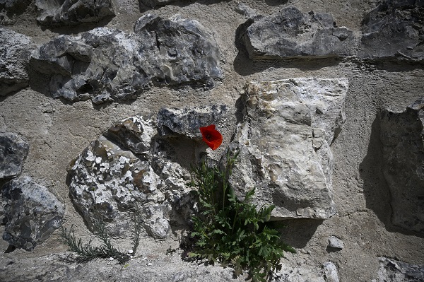 Foto - Batı Avrupa'nın İslam medeniyetine ev sahipliği yapan tek başkenti: Madrid