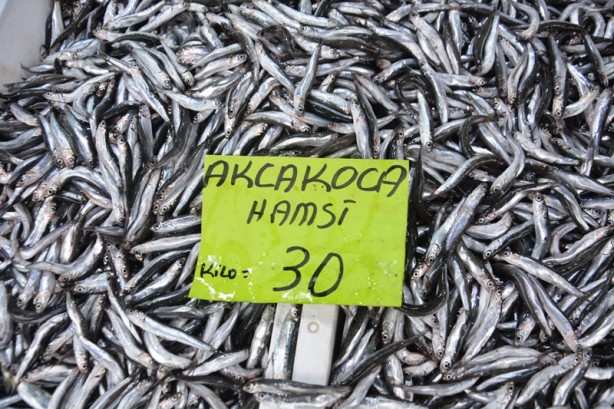 Batı Karadeniz'de tezgahlar balıklarla şenlendi! İşte fiyatı