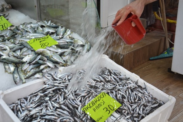 Foto - Batı Karadeniz'de tezgahlar balıklarla şenlendi! İşte fiyatı