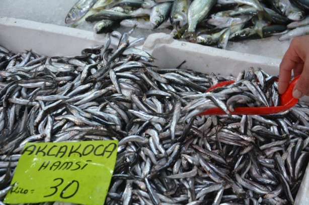 Foto - Batı Karadeniz'de tezgahlar balıklarla şenlendi! İşte fiyatı