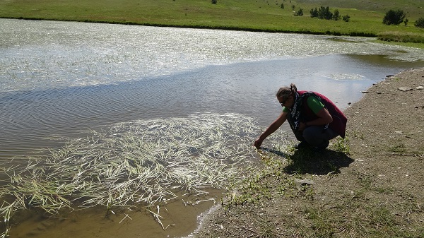 Foto - Batı Karadeniz'in hayran bırakan güzelliği