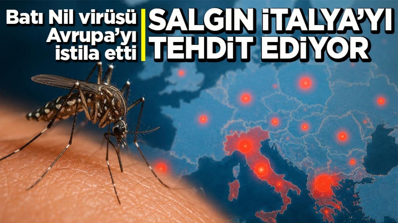 Batı Nil virüsü Avrupa’yı istila etti Salgın İtalya’yı tehdit ediyor