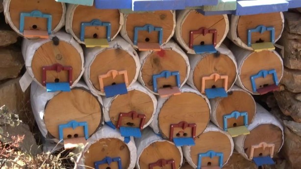 Foto - Batman'da üretiliyor! Kilosu 2 bin 500 lira