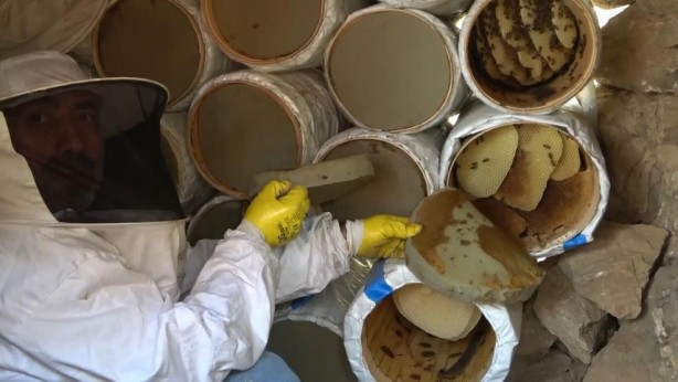 Foto - Batman'da üretiliyor! Kilosu 2 bin 500 lira