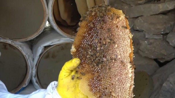 Foto - Batman'da üretiliyor! Kilosu 2 bin 500 lira