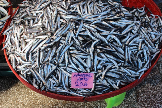 Foto - Bayat balık nasıl anlaşılır? Uzmanlar kolay yolunu açıkladı