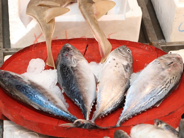 Foto - Bayat balık nasıl anlaşılır? Uzmanlar kolay yolunu açıkladı