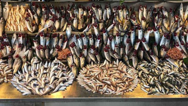 Foto - Bayat balık nasıl anlaşılır? Uzmanlar kolay yolunu açıkladı