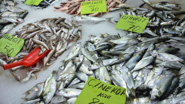 Foto - Bayat balık nasıl anlaşılır? Uzmanlar kolay yolunu açıkladı